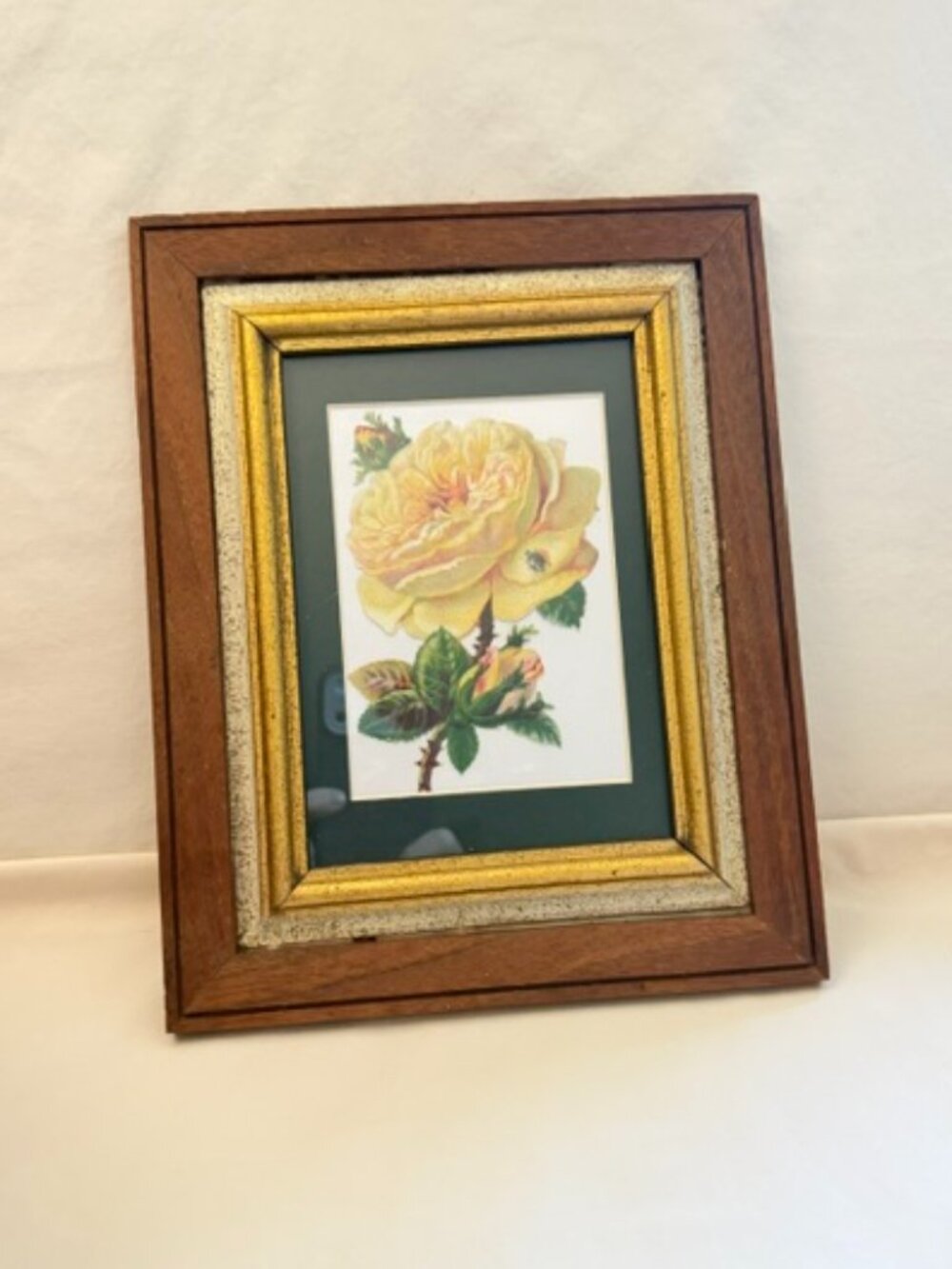 Framed Antique Yellow Paper Rose